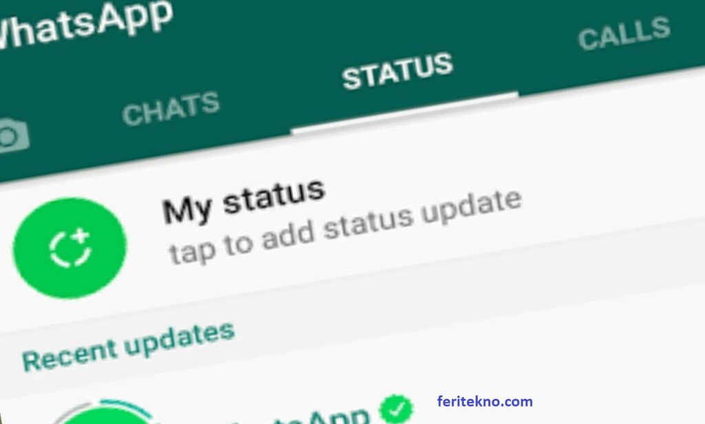 Mengatasi Tidak Bisa Buat Status di WhatsApp