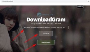 cara download foto video di instagram pc - paste link