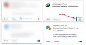 memasang idm di chrome - aktifkan idm