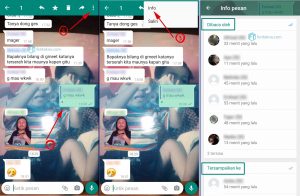 cara mengetahui pesan sudah dibaca di grup wa