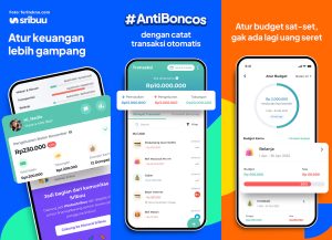 aplikasi catatan keuangan sribuu
