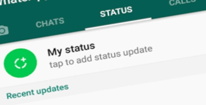 Mengatasi Tidak Bisa Buat Status di WhatsApp