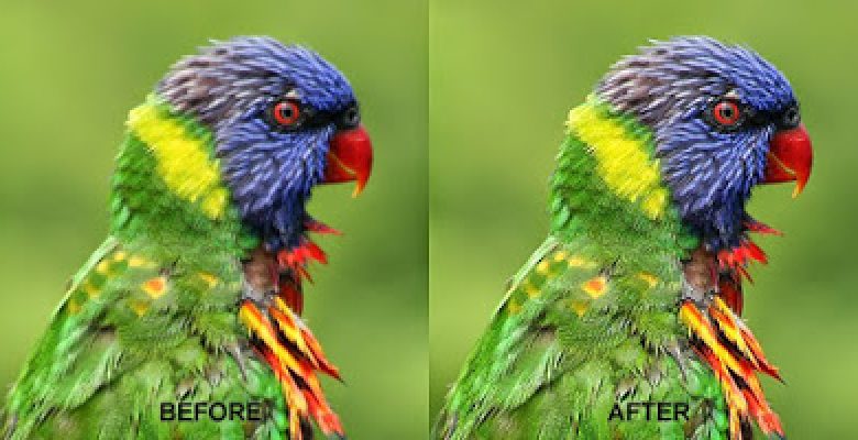 cara memperjelas foto yang buram dengan photoshop