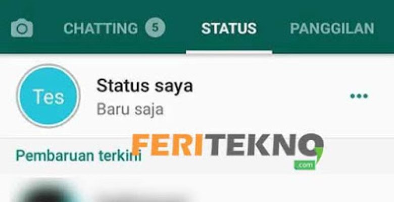 cara privasi status wa